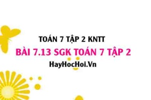 Bài 7.13 SGK Toán 7 tập 2 Kết nối tri thức
